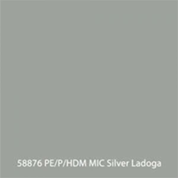 58876-Silver-Ladoga